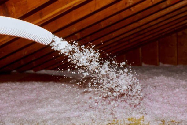 Best Attic Insulation Installation  in Bastrop, LA