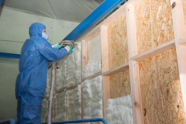 Best Best Insulation Companies  in Bastrop, LA