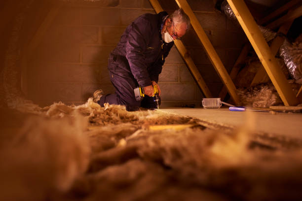 Best Home Insulation Services  in Bastrop, LA